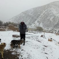 Parece Alaska: un pueblito de Salta se cubrió de nieve