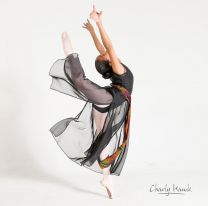 ¡Todos a colaborar! / Espectáculo a beneficio de bailarines salteños que representarán a la provincia