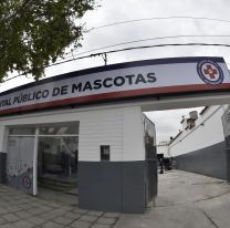 Nicole Neumann se mostró feliz por la apertura del Hospital de Mascotas