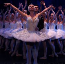 Imperdible / El Lago de los Cisnes llega al Teatro Provincial