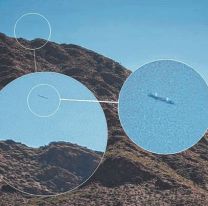 Sorprendió a todos / Sacaron una foto de Cachi y descubrieron un ovni