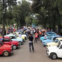 El domingo, gran exposici&oacute;n de los populares “Fititos” en Cerrillos