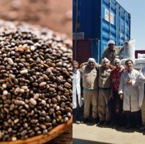 Bien ah&iacute; / Parti&oacute; de Salta el primer cargamento de ch&iacute;a rumbo a la India