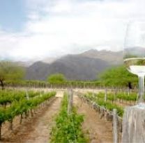 Se viene la 6º edición de la Semana del Torrontés de altura en Salta