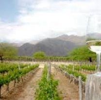 Se viene la 6º edición de la Semana del Torrontés de altura en Salta