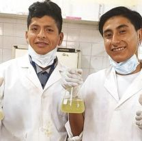 Bien ahí / Estudiantes ganaron la olimpíada provincial de química con un repelente propio