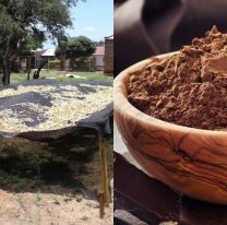 La buena del d&iacute;a / Una planta para procesar algarroba, cha&ntilde;ar y mistol beneficiar&aacute; a 100 familias de Morillo