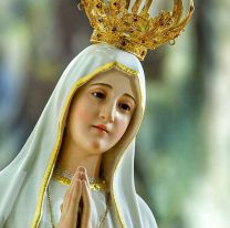 Yo te avisé / La imagen peregrina de Nuestra Señora de Fátima de Portugal visitará Salta