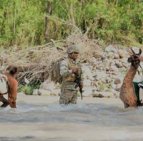 El Ej&eacute;rcito Argentino sum&oacute; llamas para los operativos en monta&ntilde;as