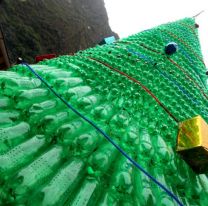 Armar&aacute;n un &aacute;rbol de Navidad con materiales reciclados: &iquest;Te sum&aacute;s?