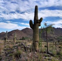 Las Pailas, un sitio arqueológico con mucho paisajes y mucha tranquilidad