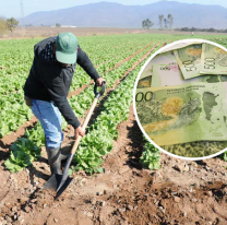 Un joven agricultor salte&ntilde;o gan&oacute; $84.500.000 en el Quini 6