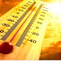 Metán batió su récord histórico: la temperatura alcanzó los 44 grados