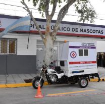 El Hospital Municipal de Salud Animal reabrió sus puertas