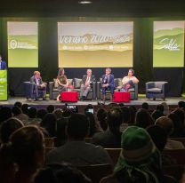 Los municipios presentaron su Calendario de Verano 2020