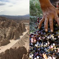 Angastaco 2020 | El festival de la uva y el vino patero es gratuito y tiene una cartelera de lujo