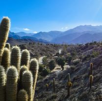 Hoy se realizar&aacute; el lanzamiento oficial del Festival de la Tradici&oacute;n Calchaqu&iacute;