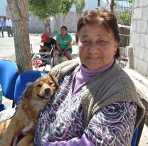 Continúan las castraciones y vacunaciones gratuitas en los barrios de Salta