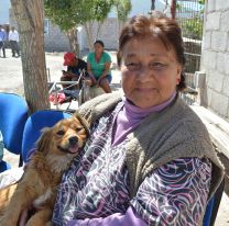 Continúan las castraciones y vacunaciones gratuitas en los barrios de Salta