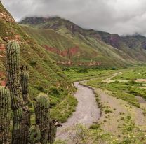 Entre la capital y los Valles Calchaquíes, qué ver en Salta