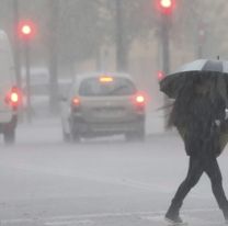 <p>GRA035. VALENCIA, 02/11/2015.- Las fuertes lluvias ca&iacute;das durante la pasada noche, de hasta 138 litros por metro cuadrado, y los fuertes vientos han derribado &aacute;rboles y han complicado el tr&aacute;fico en las carreteras de la Comunitat Valenciana, que se encu