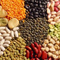 Bien ahí | Salta tiene la mayor producción de legumbres del país