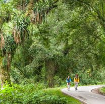 Día de la naturaleza 2020: ¿Por qué se celebra el 3 de marzo?