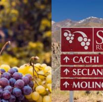 Salta y la ruta del vino m&aacute;s alta del mundo