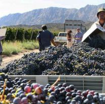Por primera vez se podrá asisitir a la Vendimia de los mejores vinos de altura de Salta