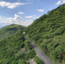 Prometen plantar 1500 &aacute;rboles en el cerro San Bernardo