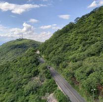 Prometen plantar 1500 árboles en el cerro San Bernardo