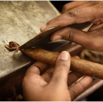 Aprend&eacute; a fabricar habanos en Guachipas este viernes