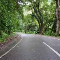 Salta clausuró el camino de cornisa a Jujuy, y extrema medidas en la ruta a Tucumán