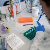 No existen nuevos casos de COVID-19: hoy se conocerá el resultado de 3 estudios pendientes