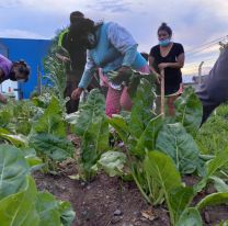 Taller de Compost y cosecha de verduras en el B&ordm; San Benito