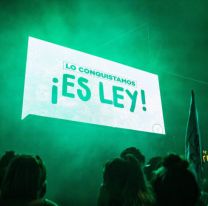 Se informaron casi 60 mil abortos legales en el último año en el sector público