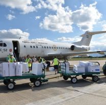 Llegaron 74 mil dosis antigripales y se distribuir&aacute;n desde hoy