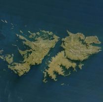 Historia de la marcha de Las Malvinas