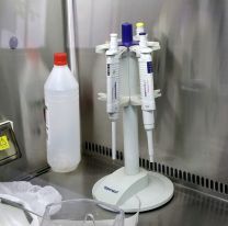 No reportaron nuevos casos de coronavirus en Salta, que se mantiene en 3