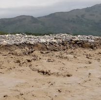 Abuelito fue arrastrado por el río, se agarró de un tronco y se salvó
