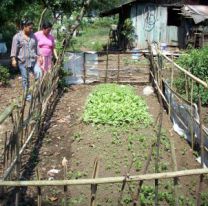 La otra cara de la cuarentena: se revalorizaron las huertas familiares