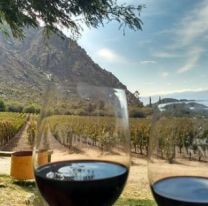 Viví la Semana del Malbec de Altura desde casa