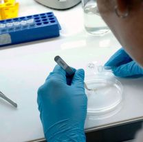 Los dos casos positivos, a punto del alta