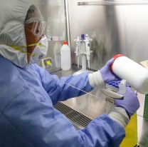 Dos científicos salteños lideran una investigación sobre el covid-19