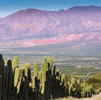 Proponen comprar vacaciones para usar hasta abril de 2021