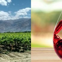 17 de abril: Día Mundial del Malbec