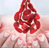 D&iacute;a Mundial de la Hemofilia: una jornada para concientizar y aprender sobre esta enfermedad