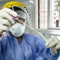 Salta, Jujuy, Misiones y San Luis lograron frenar los casos positivos de covid-19