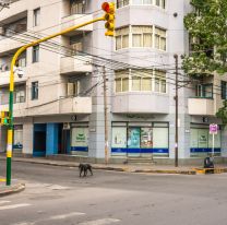 La cuarentena se extendería por dos semanas más y será muy estricta