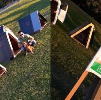 Salteños hacen cuchitas para los perros callejeros